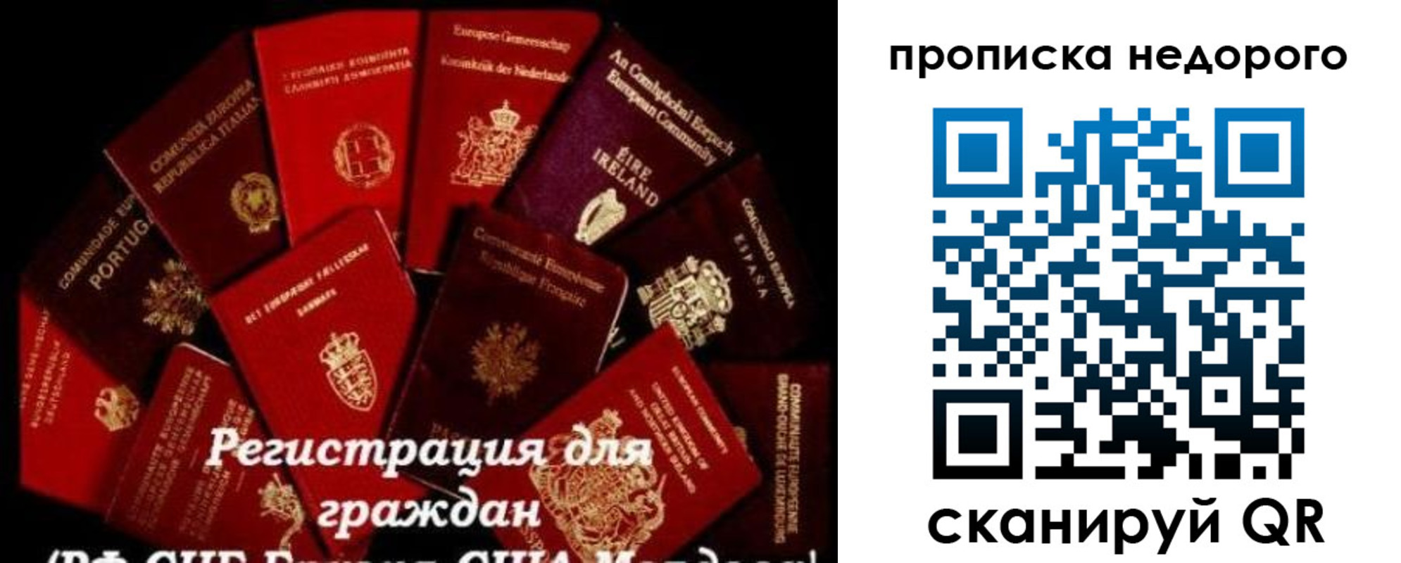 временная регистрация недорого в Выксе